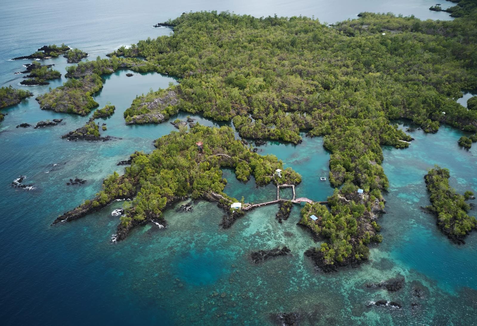 Stunning aerial shot of Maluku Islands' vibrant greenery and blue waters.